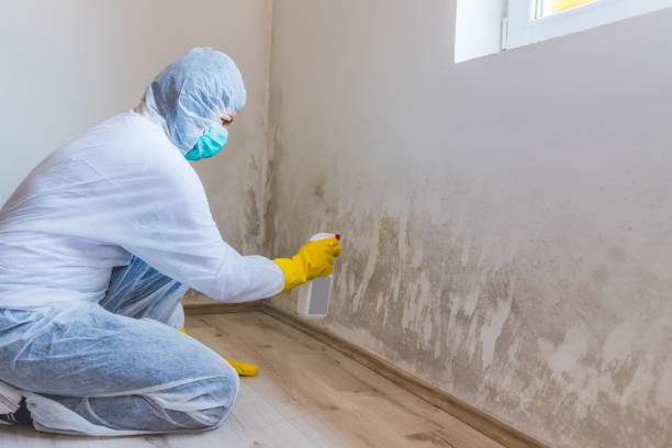 Licensed Crawl Space Mold Removal service in Bowie, MD - WQB Mold Removal