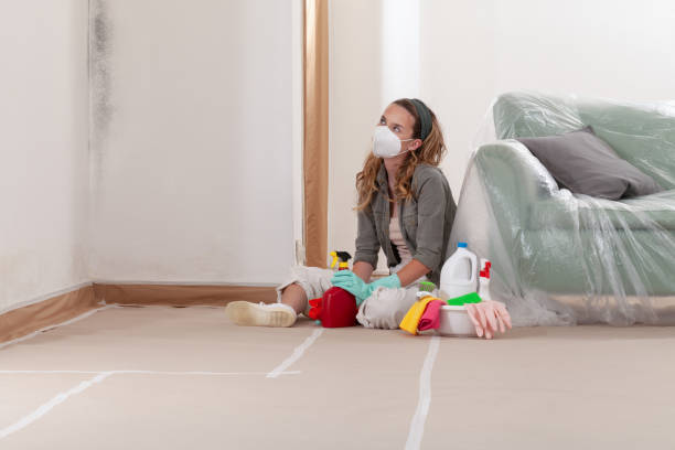 Reliable Crawl Space Mold Removal contractor in Bowie, MD by WQB Mold Removal