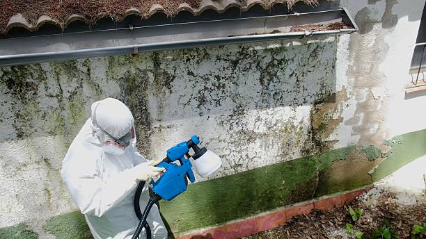 Top rated local Crawl Space Mold Removal specialists in Bowie, MD